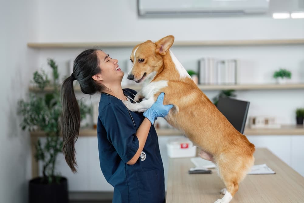 นักเรียนม.6 ลงเรียนคอร์ส TPAT1 จาก Applied Physics จนสอบเข้าคณะสัตวแพทย์ได้สำเร็จ